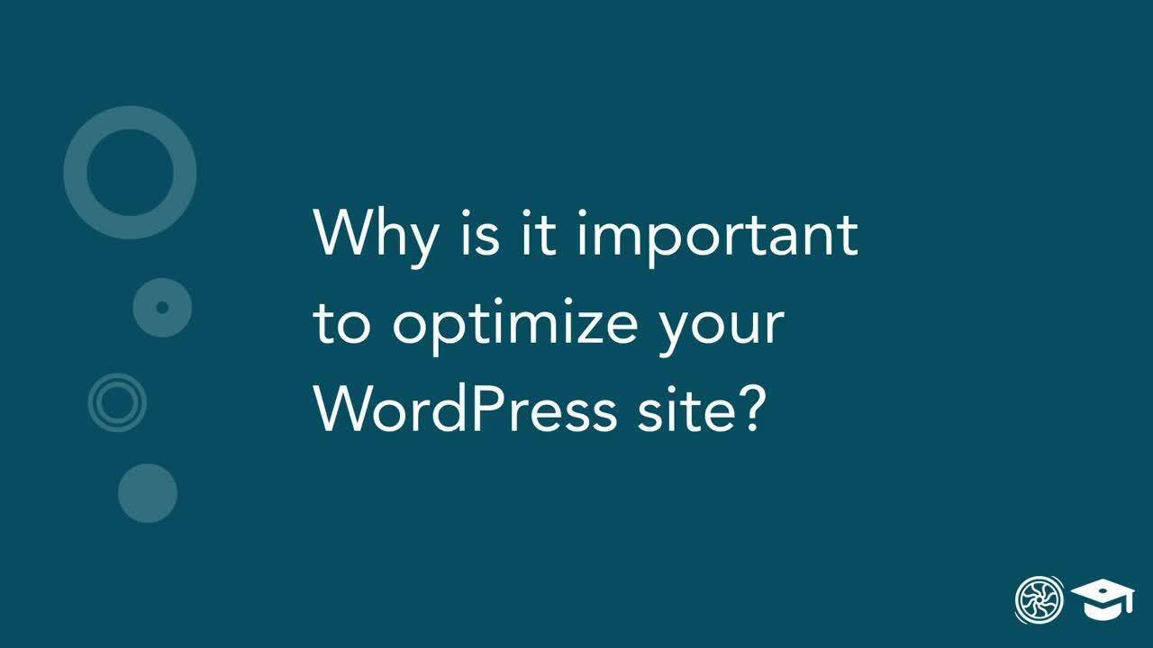 Optimizing Your WordPress Site for Better SEO